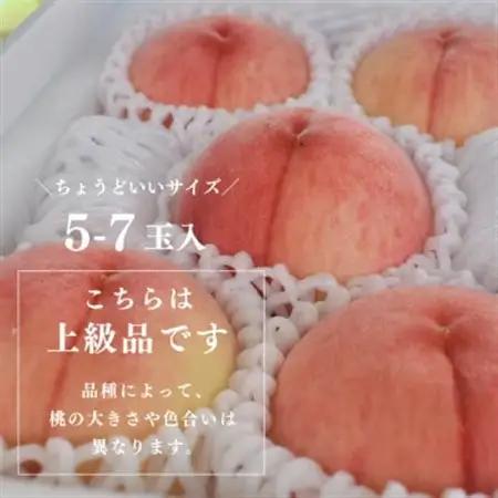 【発送月固定定期便】桃好きの為の桃3回便!(上級品5-7玉入)(岡山産)全3回【配送不可地域：離島】【4061981】
