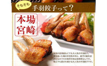 【宮崎空港で大人気!】TV某番組で餃子日本一獲得!＜馬渡の手羽餃子18本＞翌月末迄に順次出荷 餃子の馬渡 手羽先餃子 国産100％ 宮崎餃子 ギョウザ ギョーザ おかず もっちり 国産 特産品 宮崎県