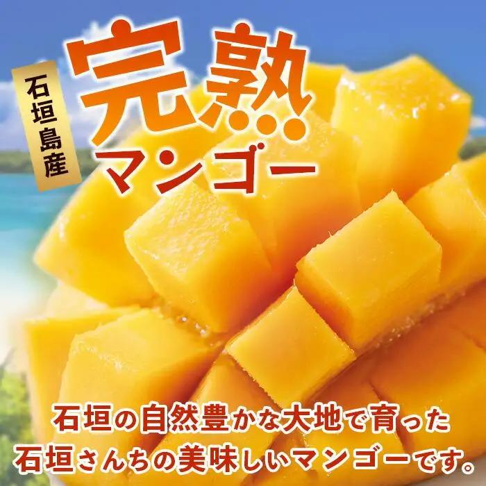 【訳あり】石垣島産 マンゴー (アーウィン種)  9～12玉(箱含め約5kg)  TP-3