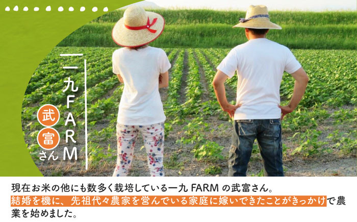 【ご飯でご飯が食べられる！】さがびより 玄米 5kg（一等米）【一九FARM】