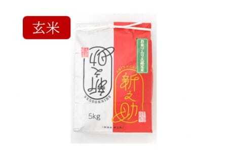 令和6年度産新米【お米ソムリエのお米】新之助 玄米 5kg（5kg×1袋） 〈10月中旬以降順次発送〉 エバーグリーン農場