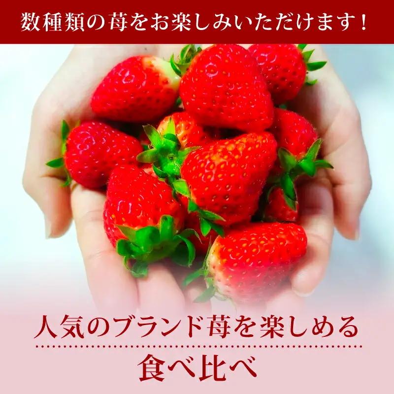 【2027年1月～発送予定】いちご 奈乃華と古都華のセットいちご 約270g×2パック