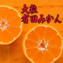 【ふるさと納税】迫力満点 大粒 有田みかん 約7.5~10kg【2024年11月中旬～2025年1月中旬発送】 | みかん ミカン 蜜柑 有田 温州みかん大玉 温州みかん サイズ混合 柑橘 和歌山 由良 ふるさと納税 取り寄せ フルーツ 果物 くだもの ご当地