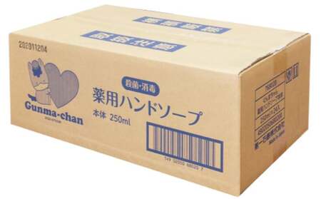 ぐんまちゃん薬用ハンドソープ本体(250ml)×24個入り