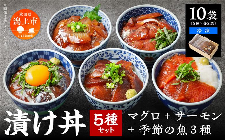 海鮮漬け丼セット 5種×2袋 60g×10袋 計600g 食べ比べ 訳アリ 訳あり 簡易包装 冷凍 海鮮丼 海鮮 マグロ サーモン タイ アジ イナダ 季節 魚 漬け 丼 魚介 簡単調理 お手軽 小分