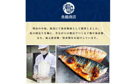 定期便【全3回/毎月お届け】大人気！ ご家庭用 塩さばフィレ＆紅鮭切身セットをたっぷりお届け定期便 / さば サバ 鯖 フィレ 鮭 サケ 切り身 切身 魚 海鮮 焼き魚 おかず 定期便【tkb356】