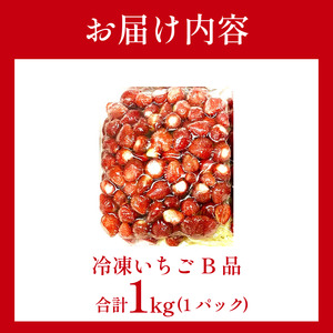 いちご 冷凍 オーガニック 1kg B品 いちご