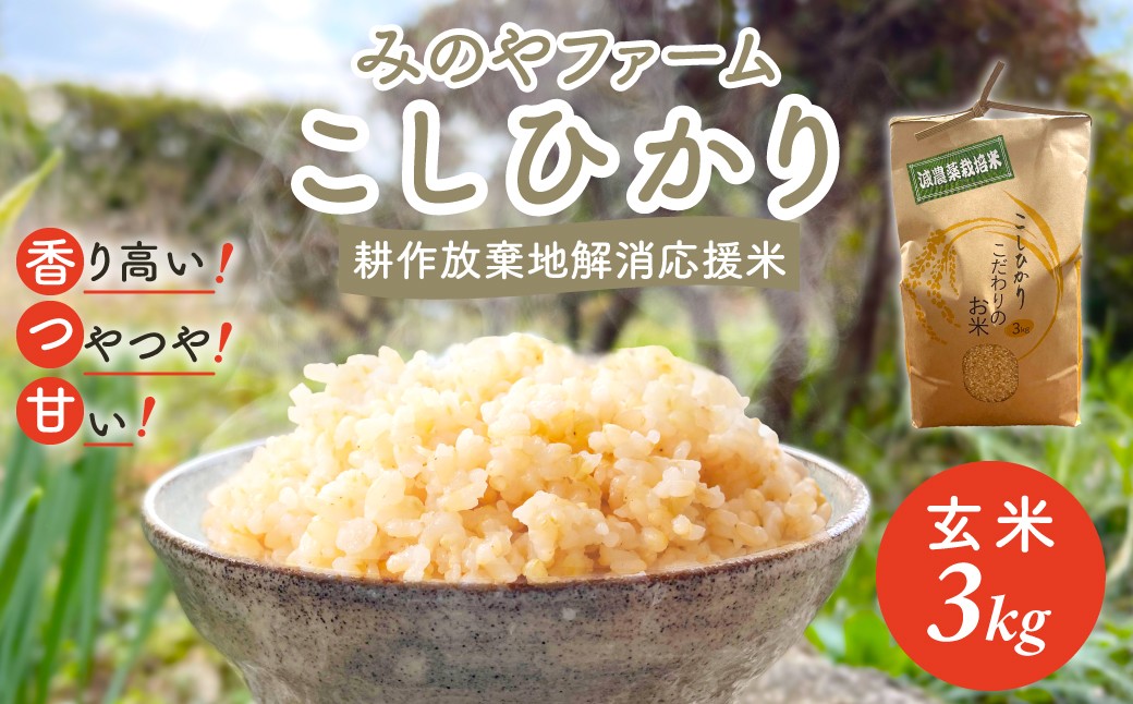 
                  令和８年産 こしひかり 3ｋｇ（玄米）　みのやファームの耕作放棄地解消応援米 【 コシヒカリ こしひかり おいしいお米 玄米 自然栽培 贈り物 ギフト 千葉県 御宿町 人気 おすすめ ランキング 】 ONJF005
                