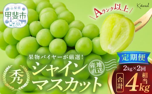 【2025年分発送】 定期便 シャインマスカット 2.0kg相当×2回 先行予約 先行 予約 山梨県産 産地直送 フルーツ 果物 くだもの ぶどう ブドウ 葡萄 シャイン シャインマスカット 新鮮 人気 おすすめ 国産 贈答 ギフト お取り寄せ 甘い 皮ごと 甲斐市人気 山梨 甲斐市 AD-165