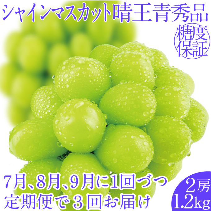 2026年先行予約【3回定期便】シャインマスカット晴王2房 約1.2kg 7月8月9月に出荷 人気 岡山県産 種無し 皮ごと食べる みずみずしい ハレノフルーツ