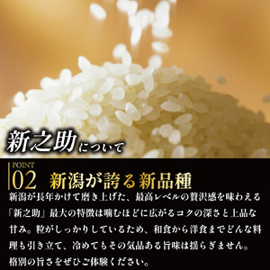新之助 令和7年産【新之助】 10㎏   数量限定 echigosugatani003