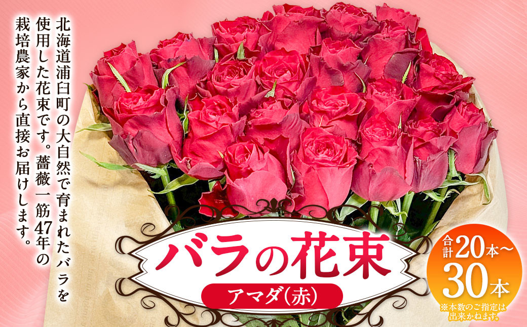 
            バラの花束 アマダ（赤）（20‐30本）| 花 バラ 薔薇 ローズ 生花 花束 ブーケ 赤 贈り物 プレゼント ギフト【2025年5月下旬～11月下旬まで発送予定】
          