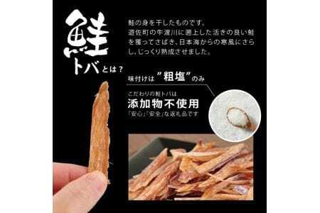 742　鮭トバ 100g×3パックセット