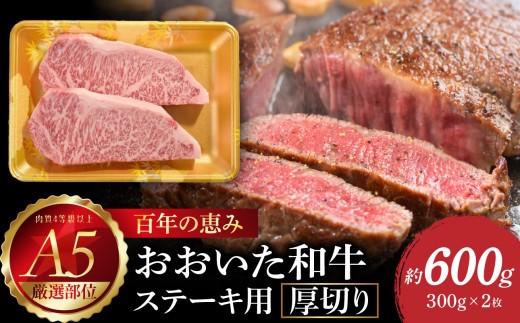 
                  【お中元 ギフト のし 対応可】 百年の恵み おおいた和牛A5 ステーキ用厚切り【厳選部位】約600g 《7/1～8/9の期間に発送》 牛肉 和牛 ステーキ 厚切り A5 霜降り 厳選部位 ロース サーロイン 肩ロース A01104-S
                