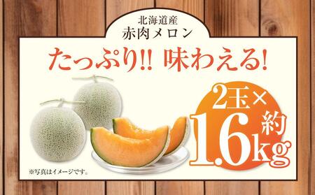 【先行予約】 北海道産赤肉メロン約1.6kg×2玉 (2024年7月中旬から発送予定) 【 果物 くだもの フルーツ メロン 赤肉 赤肉メロン 旬 お取り寄せ 甘い 北海道産 旭川市 北海道 送料無料