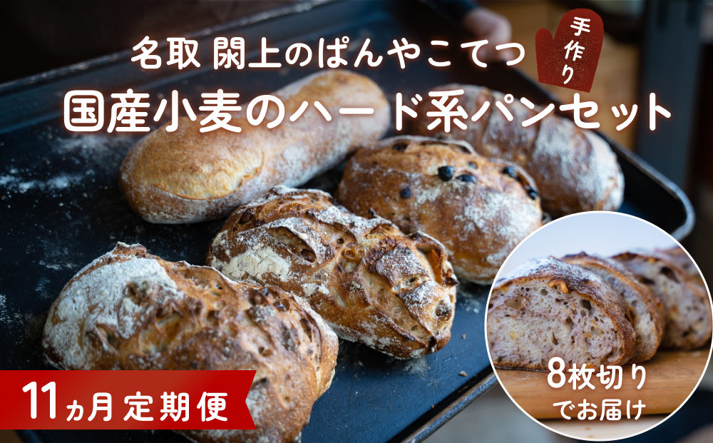 【11ヵ月定期便】名取 閖上のぱんやこてつ 手作り 国産小麦のハード系パンセット 8枚カットしてお届け