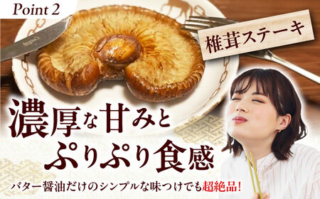 原木生椎茸 約1kg（8個〜10個）入り＜2025年1月～2月発送＞高槻市産 数量限定 期間限定　大阪府高槻市/高槻あぐり[AOCS001] [AOCS001]