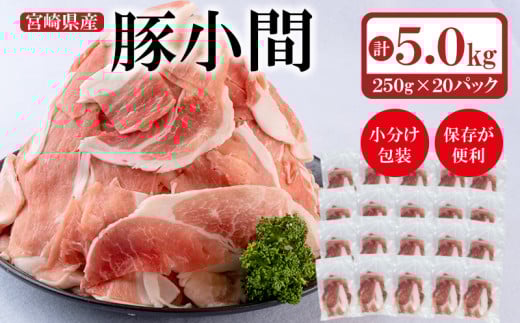 宮崎県産豚肉 小間切れ 小分け 250g×20パック 合計5kg 炒め物など＜2-21＞　