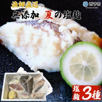 ふるさと納税 西予市 漁師直送　無添加　夏の塩麹　三種セット(愛媛県西予市明浜産)
