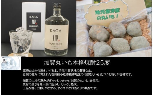 時期によって内容は変わります。