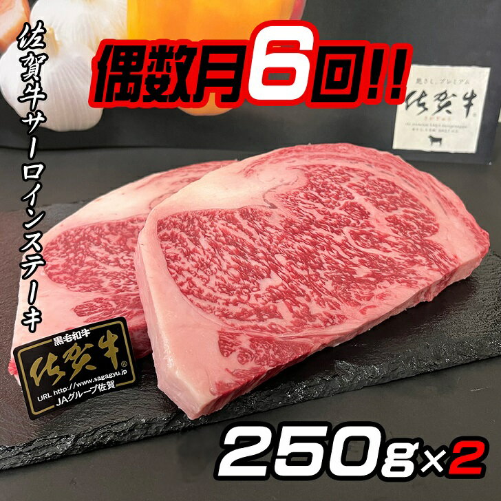 【ふるさと納税】【偶数月定期便（年6回）】佐賀牛ステーキ 250g×2：C172-004
