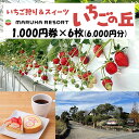 【ふるさと納税】まるは食堂 マルハリゾート いちごの丘1,000円券6枚（6,000円分）※着日指定不可