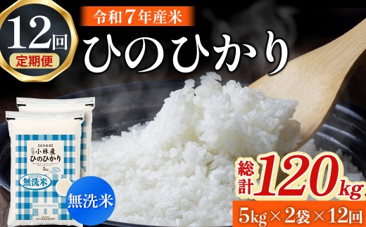 【令和7年産米】無洗米ヒノヒカリ 10kg×12回 お米 米 ヒノヒカリ 無洗米 定期便 令和7年産 国産 人気 お弁当 おにぎり 宮崎県 小林市