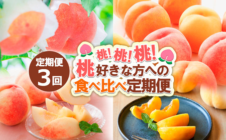 【定期便3回】桃！桃！桃！桃好きな方への食べ比べ定期便【令和8年産先行予約】 FS24-017 くだもの 果物 フルーツ 山形 山形県 山形市 2026年産