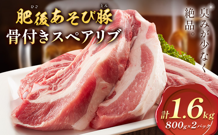 肥後あそび豚 骨付き スペアリブ 800g×2パック 合計1.6kg 株式会社さつま屋産業 ぶた ブタ 豚肉 肉 ブランド豚 骨付き肉 スペアリブ 国産 九州産 熊本県産 菊池市産 冷凍 送料無料
