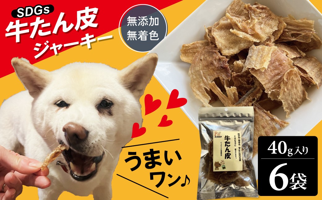 
            愛犬のおやつ 牛たん皮 40ｇ×6個入り 無添加 無着色 安心 ジャーキー 国内生産 愛犬 おやつ ワンちゃん わんこ ペット 喜ぶ SDGｓ H160-011
          