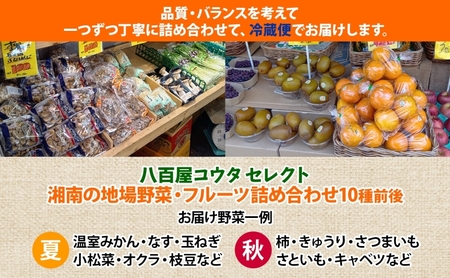 湘南産 地場野菜 フルーツ 詰合せ セット旬 新鮮 産地直送 温室みかん なす 玉ねぎ 小松菜 オクラ ゴーヤ 枝豆 生落花生 柿 きゅうりさつまいも さといも キャベツ お取り寄せグルメ 季節 家庭