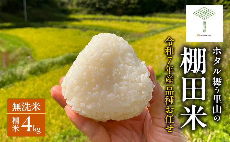 品種お任せ 令和7年産 ホタル舞う里山の棚田米 無洗米 精米4kg ひとめぼれ2kg又は朝日2kgを計2袋