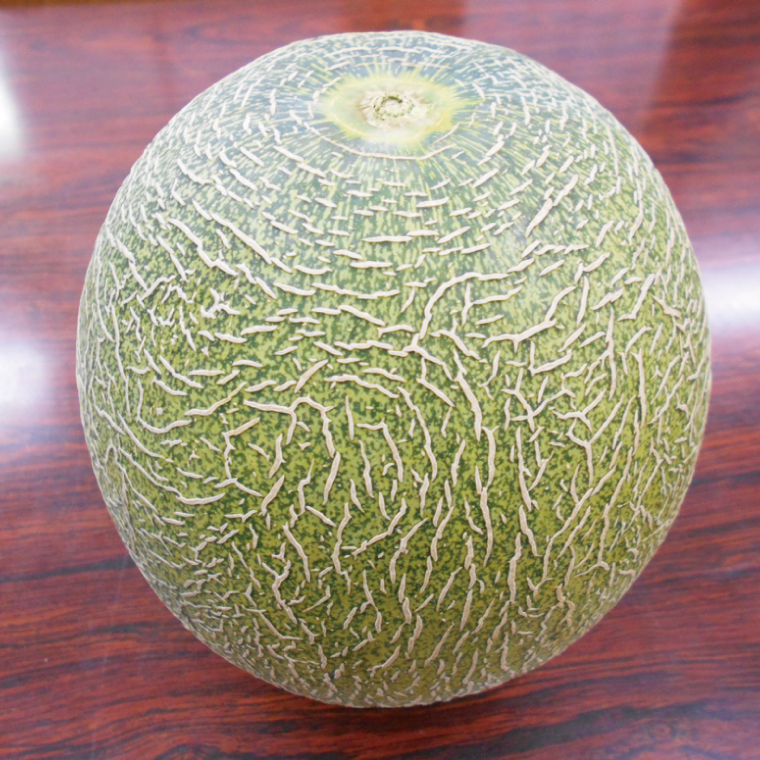 【先行予約】【2025年6月下旬より順次発送】茨城県産阿見グリーンメロン5kg(3玉)【秀品4L】【JA水郷つくば】【フルーツ 果物 くだもの 甘い おいしい メロン 茨城県 阿見町】(20-03)