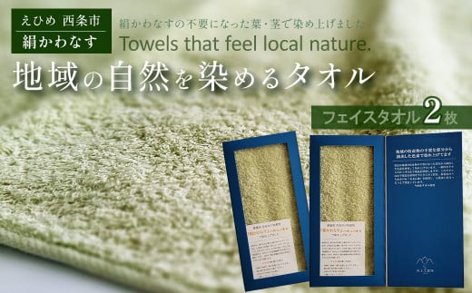 タオル 「地域の自然を染めるタオル」 フェイスタオル 2枚セット（うす緑／絹かわなす）　天然加工 草木染 西条市 河上工芸所