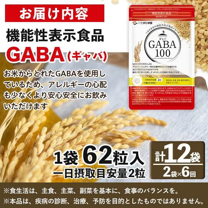 No.1286-B ＜定期便・全6回(隔月)＞GABA100(1袋 62粒入・2袋×6回 計12袋) 鹿児島 日置市 健康食品 機能性表示食品 サプリ 栄養バランス 食生活 安心安全 デスクワーク ス