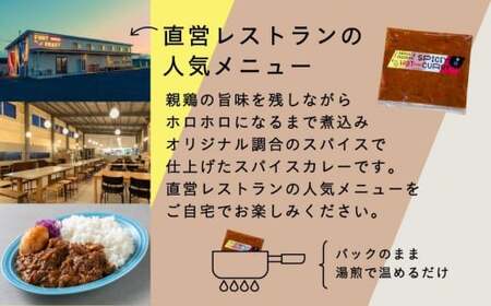 【全2回定期便】親鶏のスパイスカレー 5個（辛口）《厚真町》【テンアール株式会社】 カレー スパイスカレー 辛口 鶏 鶏肉 平飼い 冷凍配送 北海道[AXAN085]