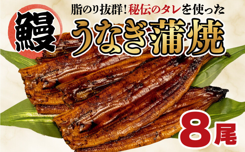 
            土用 丑の日 対応 うなぎ 蒲焼き 8尾 約1kg  鰻 冷凍 中国産 まるが水産 脂ノリ抜群 静岡 指定日可 人気 静岡県
          