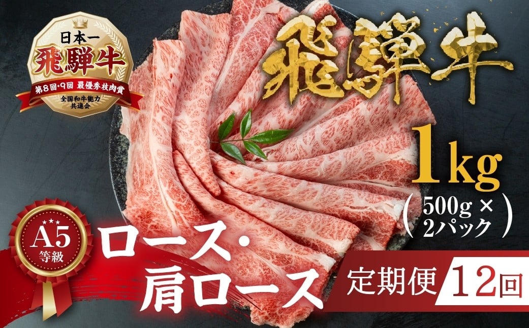 
            【定期便】 [A5等級] 飛騨牛すき焼き・しゃぶしゃぶ用 1kg (500g×2パック) 12回定期便『ロース・肩ロース肉』| 牛肉 [0166] 牛肉 肉 和牛 黒毛和牛 国産牛 a5 霜降り 小分け すき焼き用牛肉 トキノ屋食品 本巣市 すき焼き肉
          