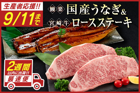 ＜数量限定!!＞鰻楽 国産うなぎ 2尾 計360g ＆ 宮崎牛 ロースステーキ 250g×2枚 計500g 肉質等級4等級 国産 人気 おすすめ【C129-S-30】