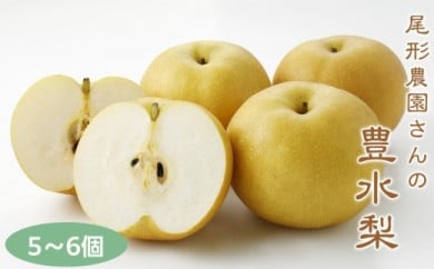 尾形農園の豊水梨（ほうすいなし）（1）【5～6玉入り】【フルーツ 果物 くだもの 食品 人気 おすすめ 送料無料】