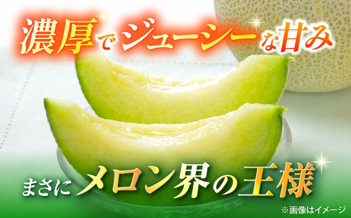 【先行予約】山鹿の恵み!匠の育てたアールスメロン（マスクメロン） 約1.8kg以上×1玉【きもと農園】 [ZFQ003]
