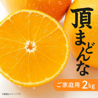 【発送月固定定期便】美味しいみかん柑橘のある暮らし【みかん・まどんな・せとか】【G31−43】全3回【4058604】