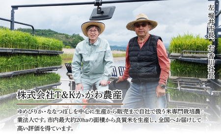 3ヵ月 定期便【令和5年度】 北海道 伊達産 ゆめぴりか 5kg 精米