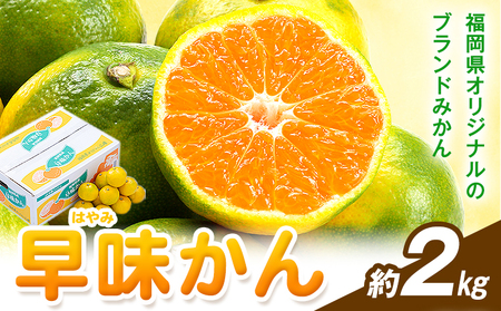 みかん 早味かん 約2kg  南国フルーツ株式会社【26年度出荷】《9月中旬-9月下旬頃出荷》福岡県 鞍手町 福岡県産 みかん 早味かん フルーツ 果物 
