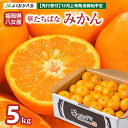 【ふるさと納税】【2024年12月発送開始】華たちばなみかん 約5kg 蜜柑 ミカン 秀品 福岡 果物 フルーツ 先行予約 家庭用 自宅用 送料無料 10000円 1万円