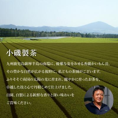 ふるさと納税 南九州市 知覧銘茶　かいもんみどり5本セット |  | 02