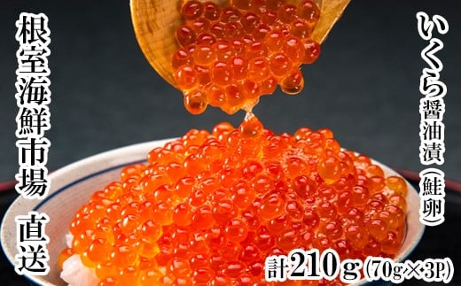 
                  A-28005 根室海鮮市場＜直送＞いくら醤油漬け(鮭卵)70g×3P(計210g)
                