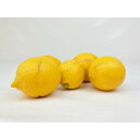 【ふるさと納税】【有機JAS認証】レモン島からお贈りするオーガニックレモン 5kg 有機レモン 産直 国産 有機栽培 | フルーツ 果物 くだもの 食品 人気 おすすめ 送料無料