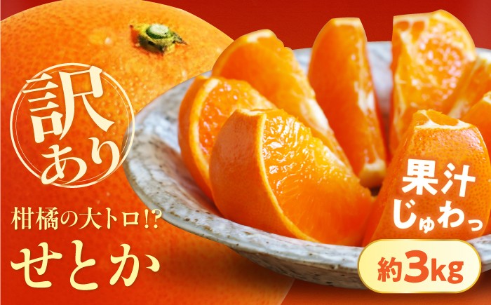 
                  みかん 訳あり せとか 約3kg サイズ不揃い【1月下旬から2月中旬まで順次発送】/ フルーツ 果物 蜜柑 ミカン オレンジ 訳あり 訳アリ 小玉 甘い 先行予約 3kg 愛媛 ジューシー 芳醇 薄皮 濃厚 甘み 旬 旬の味覚 お取り寄せ 贈答 フルーツギフト 柑橘詰め合わせ 完熟 柑橘 旬 不揃い 人気 おすすめ / 愛媛県砥部町/株式会社フルーツファーム健治郎 [BJBE002]
                