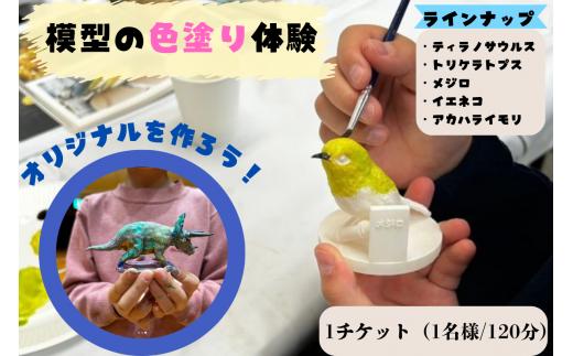 模型の色塗り体験チケット　/　体験 子ども 家族 レプリカ 標本 コレクション プラモデル 恐竜 動物標本 フィギュア 模型 動物 爬虫類 ミニチュア オブジェ 【anf006A】